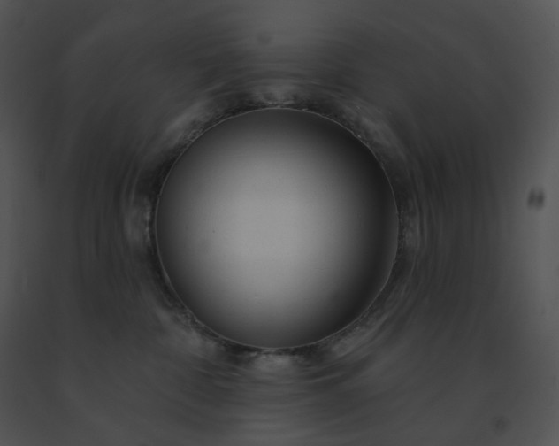 X0000091530332200708311316
