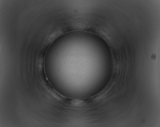 X0000091530334200708311316