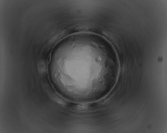 X0000091530335200708311316