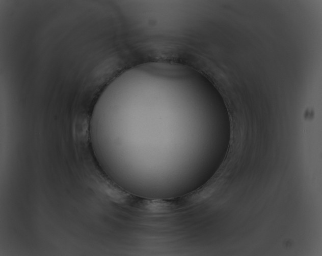X0000091530336200708311316