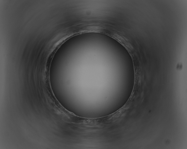 X0000091530338200708311315