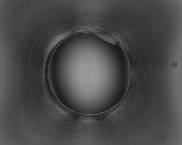 X0000091530340200708311315