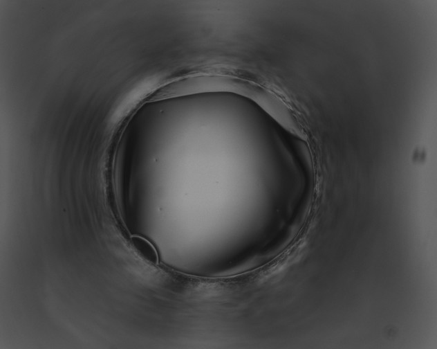 X0000091530341200708311315