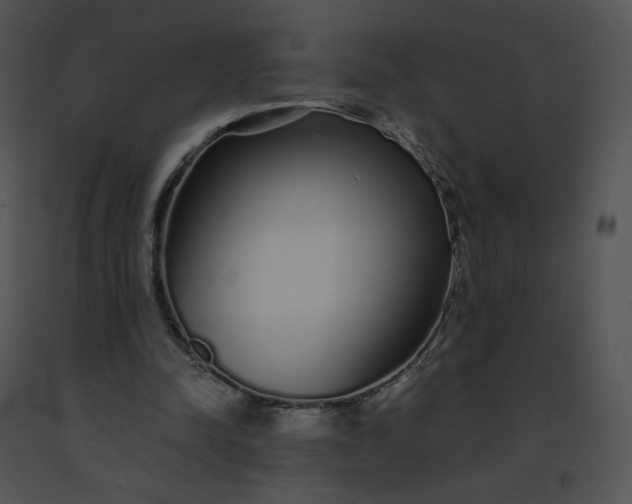 X0000091530342200708311315