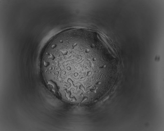 X0000091530343200708311315