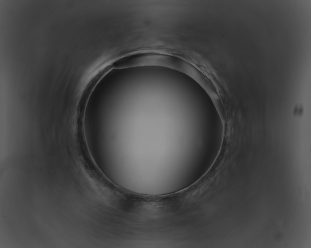 X0000091530344200708311315