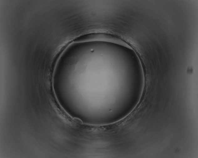 X0000091530345200708311315
