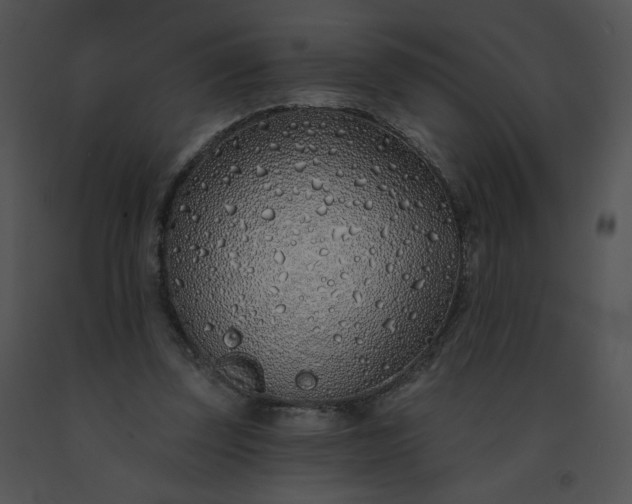 X0000091530347200708311315