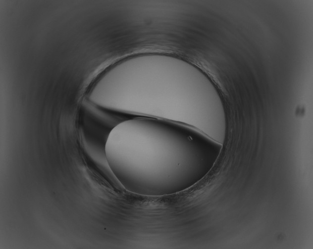 X0000091530348200708311315