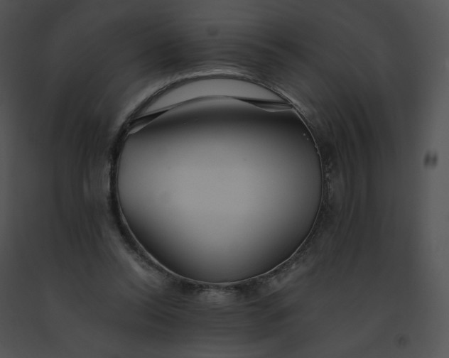 X0000091530350200708311315