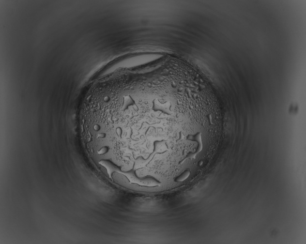 X0000091530351200708311315