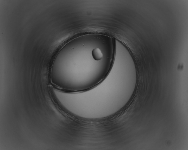 X0000091530352200708311315