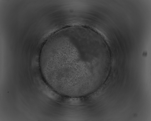 X0000091530353200708311315