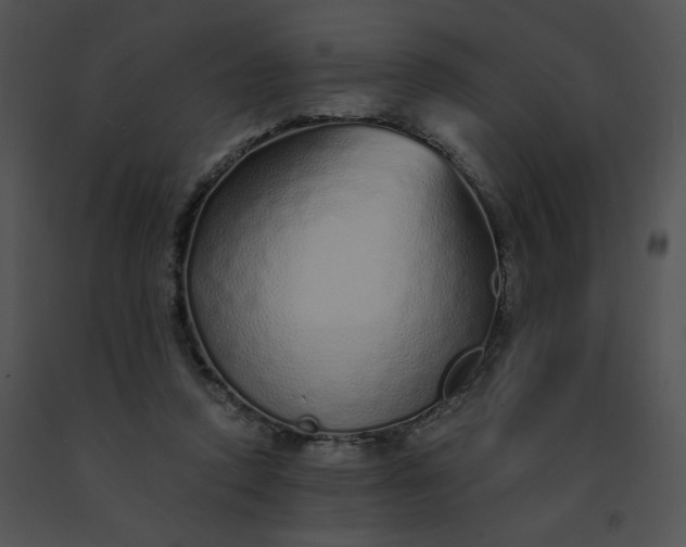 X0000091530354200708311315