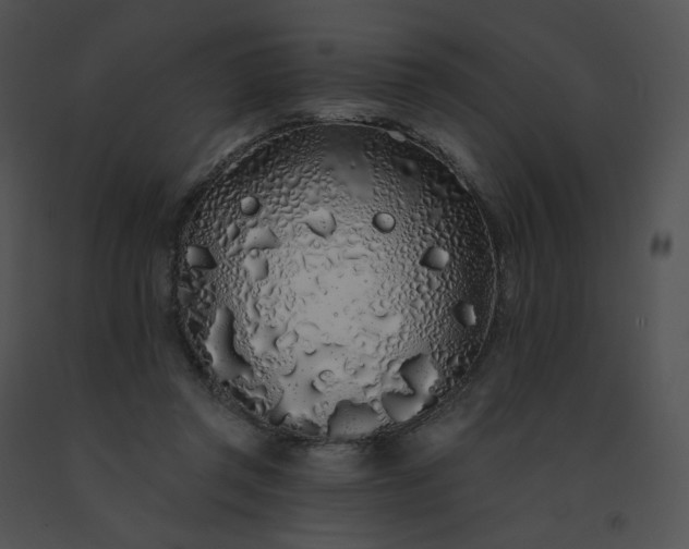 X0000091530357200708311315