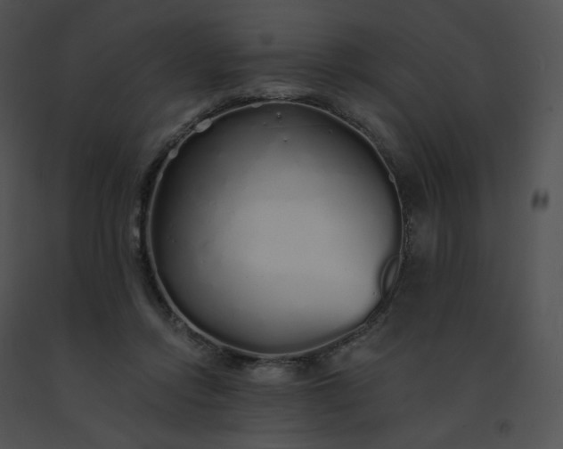 X0000091530358200708311315