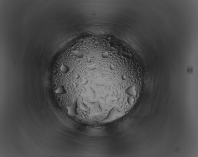 X0000091530359200708311315