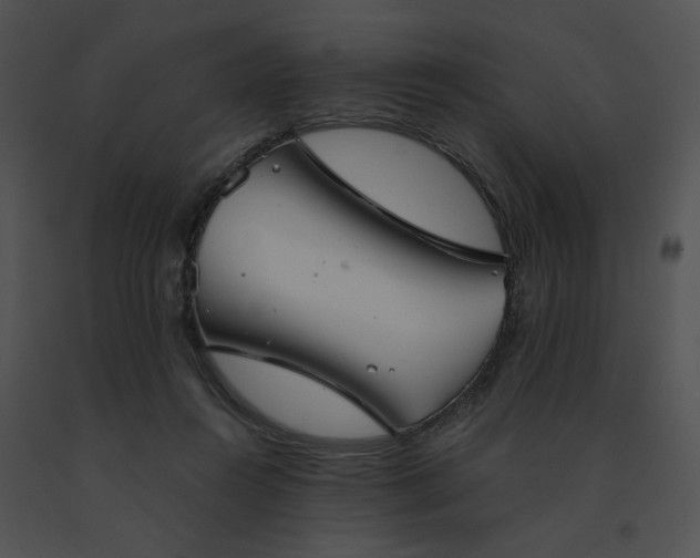 X0000091530360200708311315