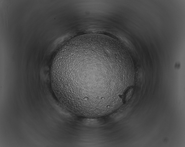 X0000091530361200708311315