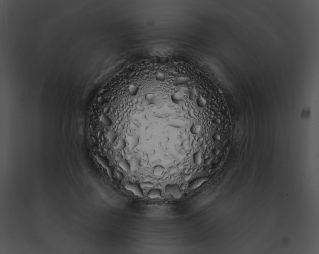 X0000091530363200708311315