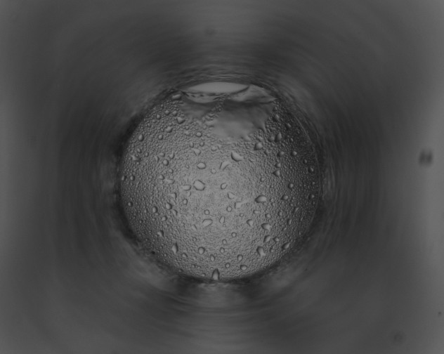 X0000091530367200708311315