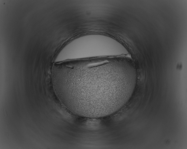 X0000091530369200708311315