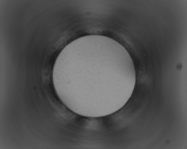 X0000091530370200708311315