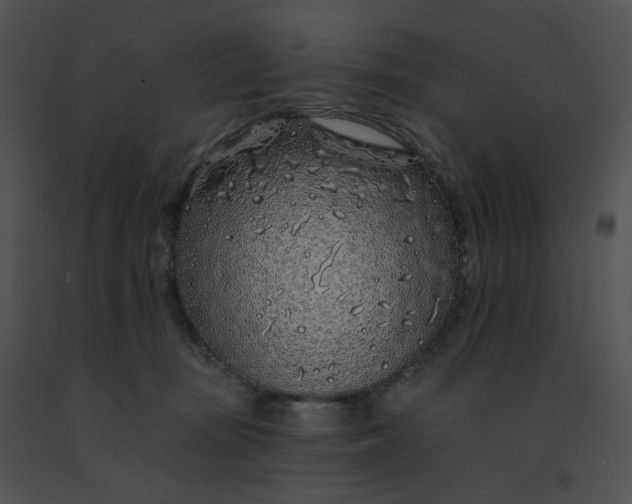 X0000091530371200708311315