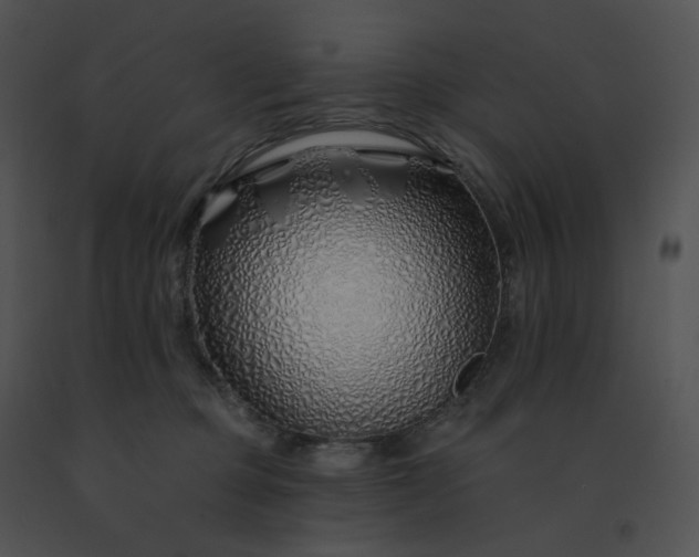 X0000091530373200708311316
