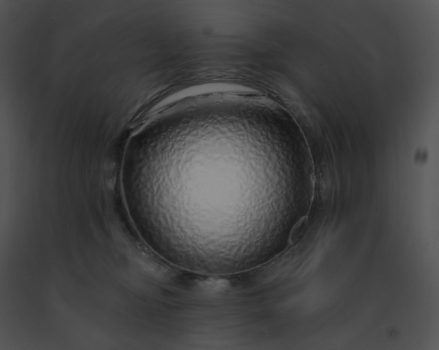 X0000091530374200708311316