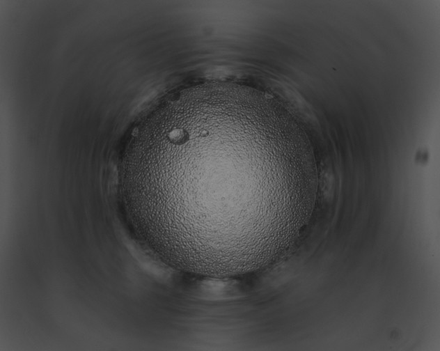 X0000091530375200708311316