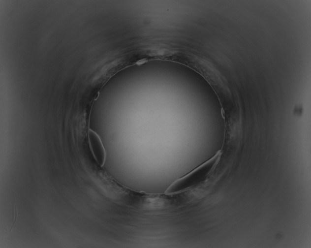 X0000091530376200708311316