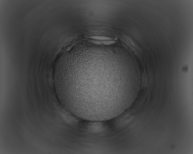 X0000091530377200708311316