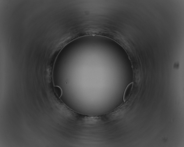 X0000091530378200708311316