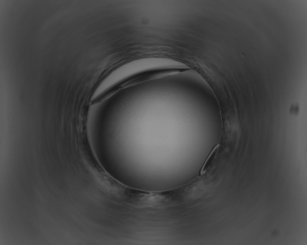 X0000091530379200708311316