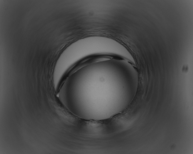 X0000091530380200708311316