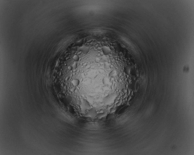 X0000091530381200708311316