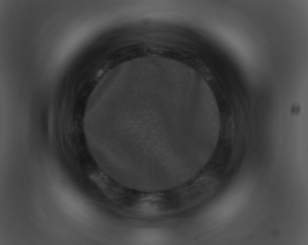 X0000091530382200708311316