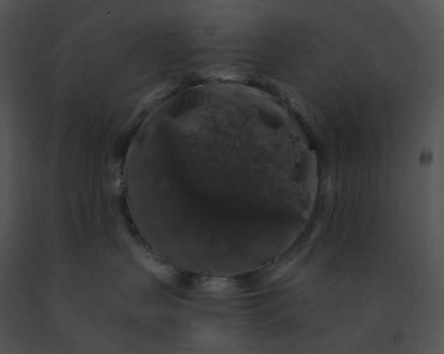 X0000091530383200708311316