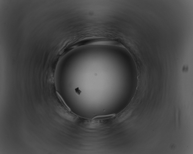 X0000091530384200708311316