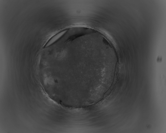 X0000091530385200708311315