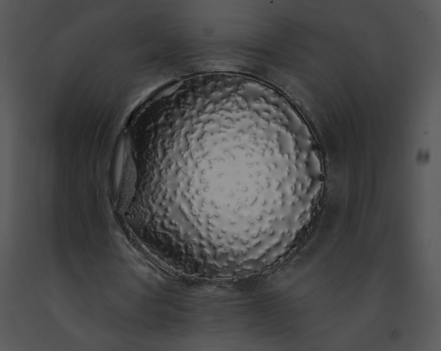 X0000091530386200708311315