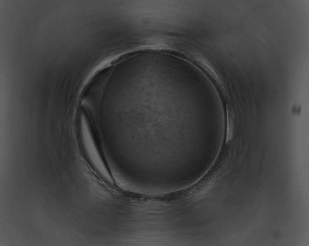 X0000091530387200708311315