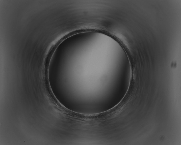 X0000091530388200708311315