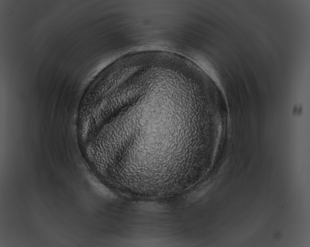 X0000091530389200708311315