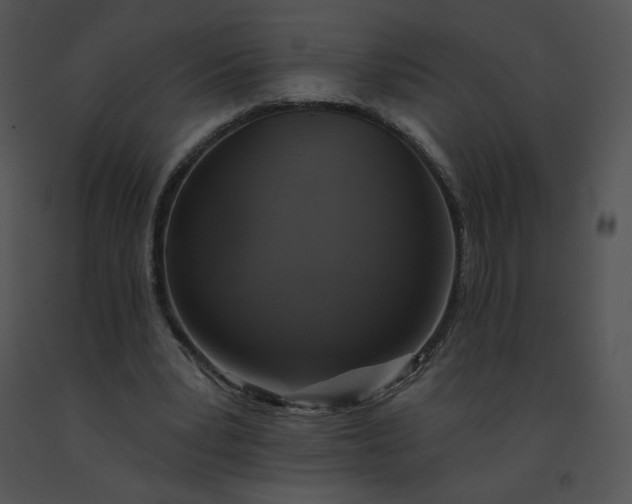 X0000091530391200708311315