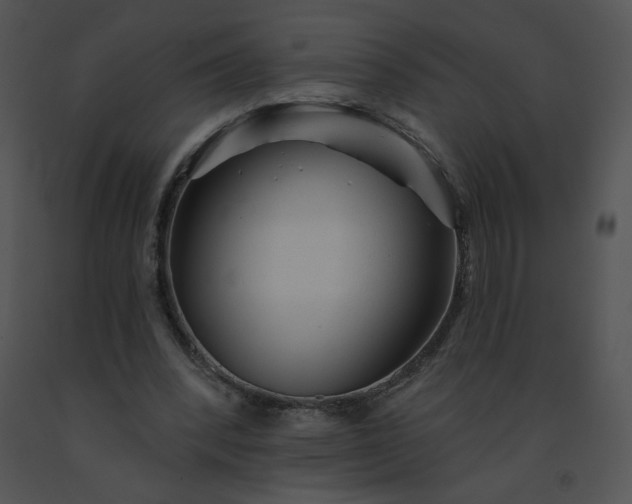 X0000091530392200708311315