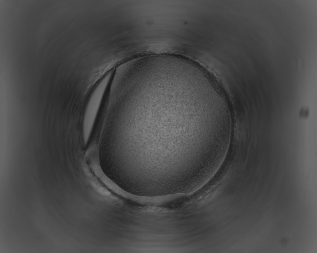 X0000091530393200708311315