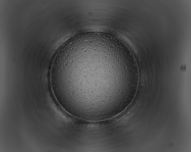 X0000091530394200708311315