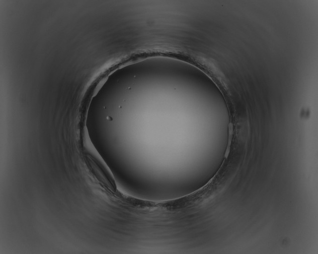 X0000091530395200708311315